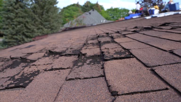 Professional Roofing Services in Moraine, OH