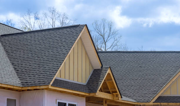 Best Roof Moss and Algae Removal  in Moraine, OH