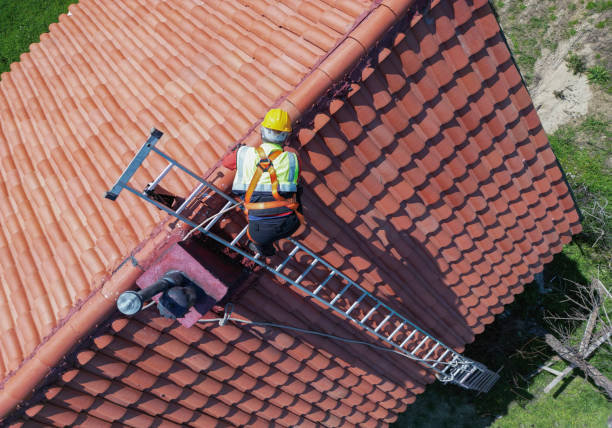Best Roof Maintenance and Cleaning  in Moraine, OH